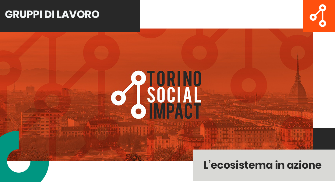 Torino Social Impact project works