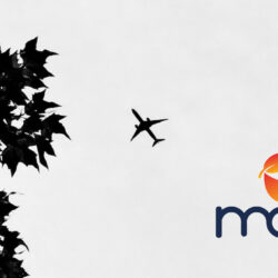IMG-move-articolo.jpg